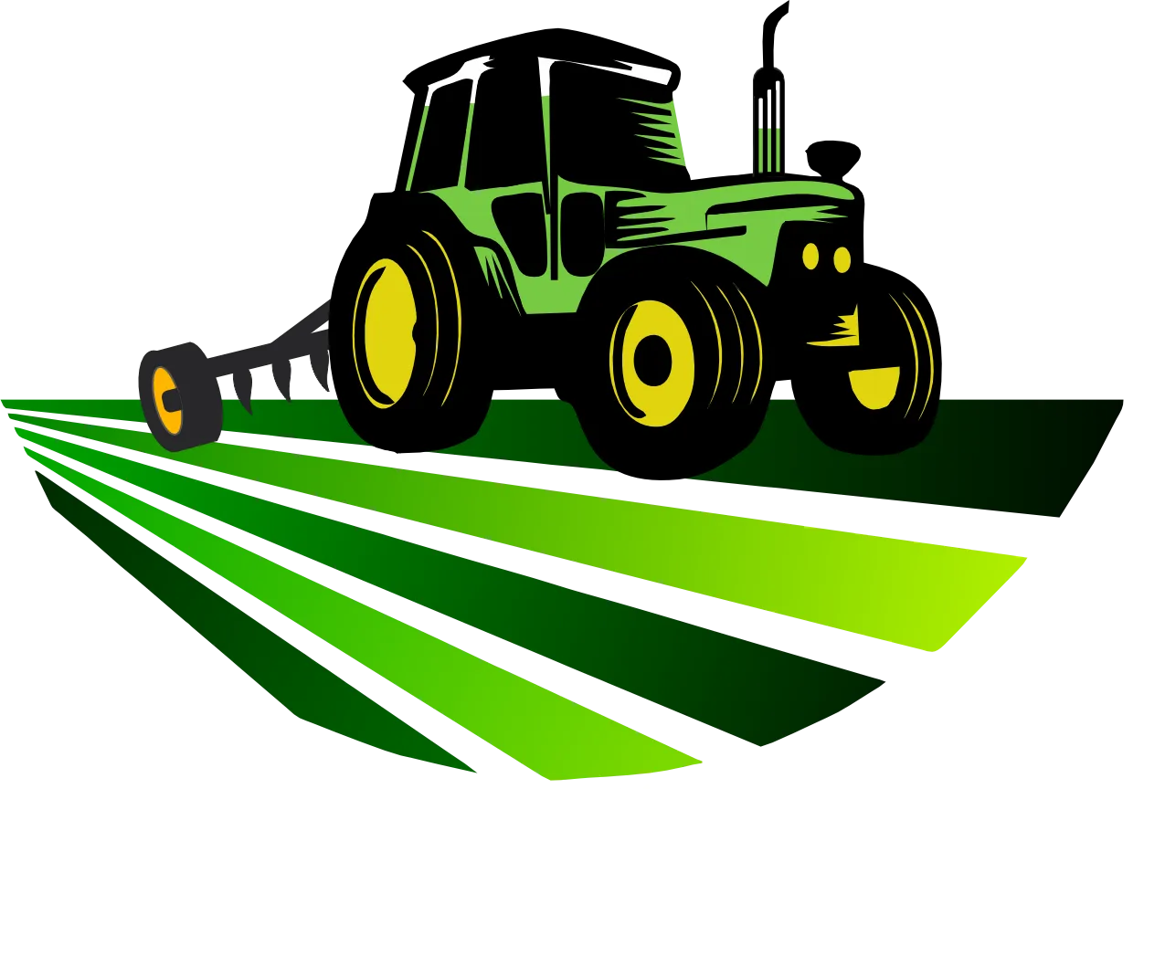Cliente 13